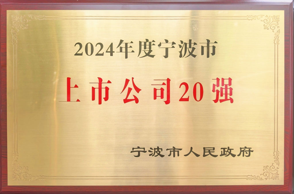 尊龙凯时股份荣登“2024宁波上市公司20强”榜单